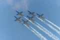 Baltic Bees with Albatros L-39c aircraft at Bias. Royalty Free Stock Photo