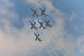 Baltic Bees with Albatros L-39c aircraft at Bias. Royalty Free Stock Photo