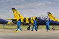 Baltic Bees Jet Team crew with L-39 planes on runway
