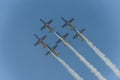 Baltic Bees with Albatros L-39c aircraft at Bias. Royalty Free Stock Photo