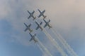 Baltic Bees with Albatros L-39c aircraft at Bias. Royalty Free Stock Photo