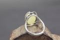 Baltic beewax & amber Ring Royalty Free Stock Photo