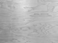 Birch plywood texture, black and white Royalty Free Stock Photo