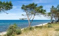 Baltic coast landscape, Western Pomerania, Poland, Europe. Sandy beach on a sunny summer day