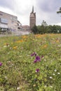 Wildflower garden and KrÃÂ¶peliner Tor Rostock Germany