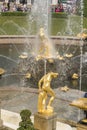 Samson fountain of the Grand Cascade in Peterhof Palace St Petersburg Russia Royalty Free Stock Photo