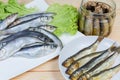 Raw, smoked, preserved in cooking oil baltic herring close-up Royalty Free Stock Photo