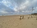 Baltic Sea autumn coast sea beach Saulkrasti Latvia Royalty Free Stock Photo