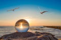 Baltic Sea beach in the glass sphere at sunset with seagulls in the air