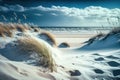The Baltic Sea beach. Winter beach scene with sand, dunes, and marram grass