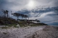 Baltic sea coast on Darss