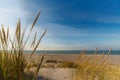 Baltic Sea coast, dunes and sand in winter