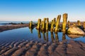 Baltic Sea coast with groynes in Kuehlungsborn, Germany