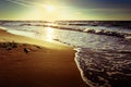 Baltic sea coast with waves breaking on the beach at sunset. Scenic picturesque summer seascape. Royalty Free Stock Photo