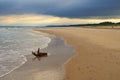 Baltic sea coast with wooden stump Royalty Free Stock Photo