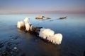 Winter Baltic coast, ice forms, root, breakwater, Kolobrzeg, Poland