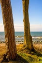 Baltic Sea in Poland with pines and dunes Royalty Free Stock Photo