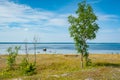 Baltic sea shore in Island of Saaremaa, Estonia. Royalty Free Stock Photo