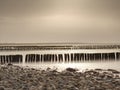 Baltic Sea shore in strong wind. Breakwater built of wooden logs Royalty Free Stock Photo