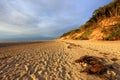 Baltic Sea shore wooded cliff and beach during colorful sunset Royalty Free Stock Photo