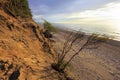 Baltic Sea shore wooded cliff and beach during colorful sunset Royalty Free Stock Photo