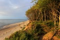 Baltic Sea shore wooded cliff and beach during colorful sunset Royalty Free Stock Photo