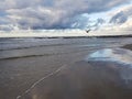 Baltic sea sunset and birds, Poland