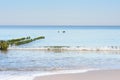 Baltic Sea at sunset. Old wooden piles breakwaters in water. Beautiful seascape, relaxation and tranquility. Selective focus Royalty Free Stock Photo