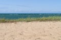 Baltic sea wild beach landscape Royalty Free Stock Photo