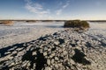 Baltic Sea. Winter seascape with islands. Royalty Free Stock Photo