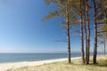 Baltic shore scenic Royalty Free Stock Photo