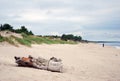 Baltic spit sirene nature scenery