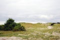 Baltic spit sirene nature scenery