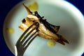 Baltic sprat in oil worn on a fork Royalty Free Stock Photo