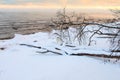 Baltic winter fjord landscape with tree Royalty Free Stock Photo