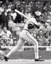 Baltimore Orioles Outfielder Al Bumbry