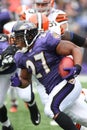 Ray Rice, Baltimore Ravens Royalty Free Stock Photo