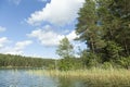 Baltis Lake Coastline With Trees