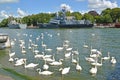 BALTIYSK, RUSSIA - JULY 23, 2020: Swans-spikes in the Baltic Strait against the background of warships. Kaliningrad region