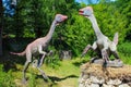 Dinosaur in baltow park poland . Park for kids whit dinosaur