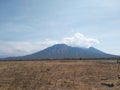 Baluran national park Royalty Free Stock Photo