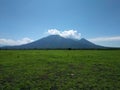 Baluran Savana Forest in Situbondo