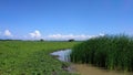 Baluran Savana Forest in Situbondo