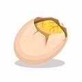 Balut is Philipines traditional streed food from boiled or steamed egg embryo eaten from the shell cartoon illustration vector