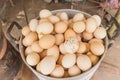 Balut (boiled developing duck embryo) for sale at local Thai mar