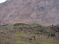 Orto Tokoi water reservoir near Balykchy Royalty Free Stock Photo