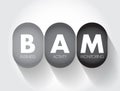 BAM - Business Activity Monitoring is software that aids in monitoring of business activities, acronym text concept background