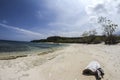 Bama baluran beach Royalty Free Stock Photo