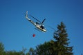 Bambi bucket Royalty Free Stock Photo