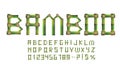 Bamboo textured letters set, exotic tropical vector font.